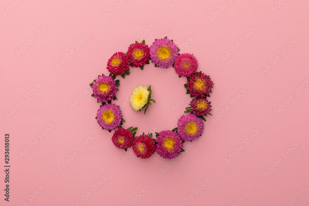 wreath of purple asters and one yellow inside on pink background