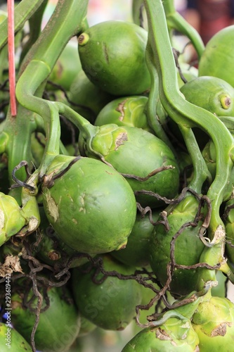Betel palm with nature at street food
