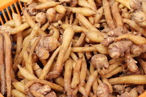 Ginger root for cooking in the market