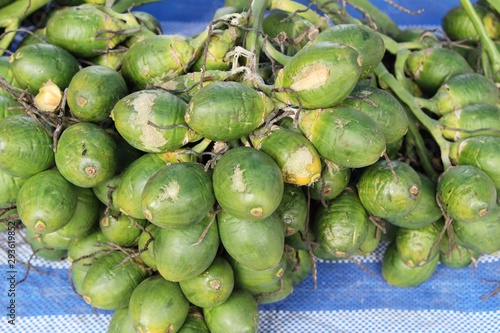 Betel palm on tree with the nature