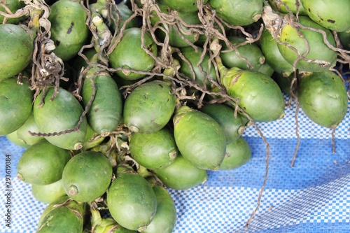 Betel palm on tree with the nature