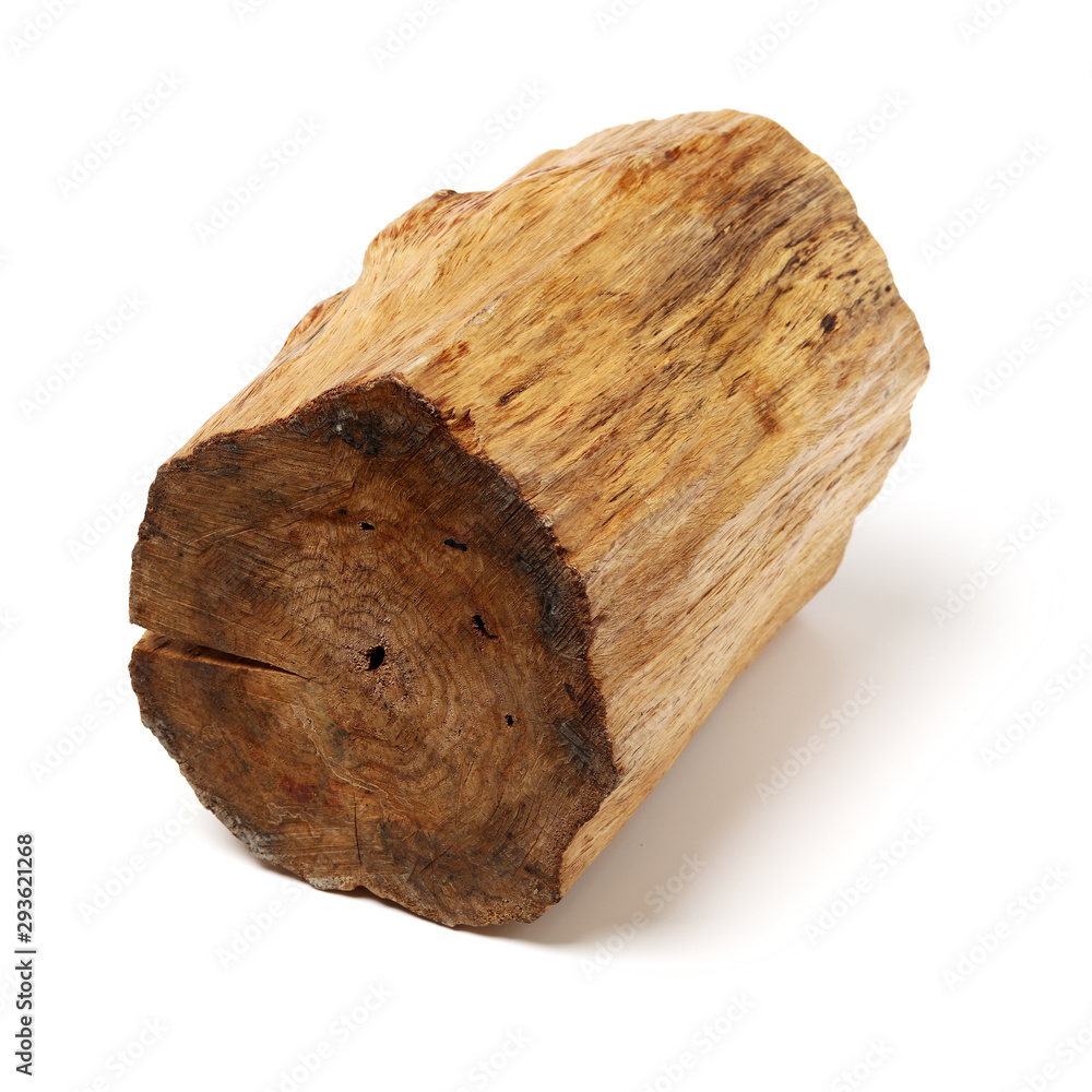 log isolated on a white background log isolated on a white background
