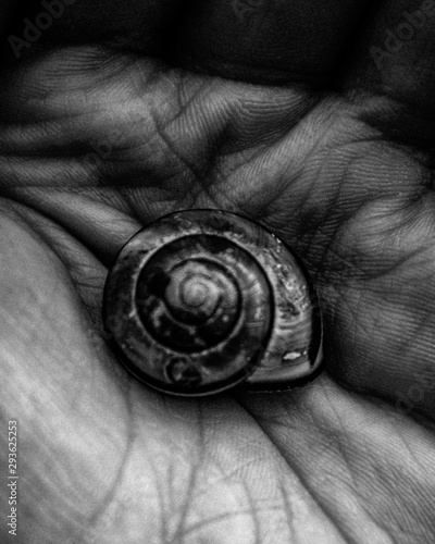 schnecke in der hand