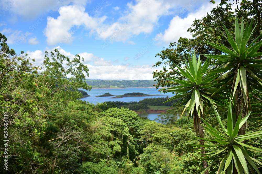 Viewpoint to a landscape of vegetation and a lake.