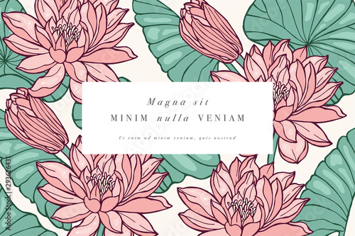 Vintage card with lotus flowers. Floral wreath. Flower frame for flowershop with label designs. Floral water lily greeting card. Flowers background for cosmetics packaging.