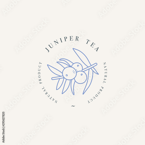 Vector design colorful templat logo or emblem - organic herb juniper tea. Logos in trendy linear style isolated on white background.