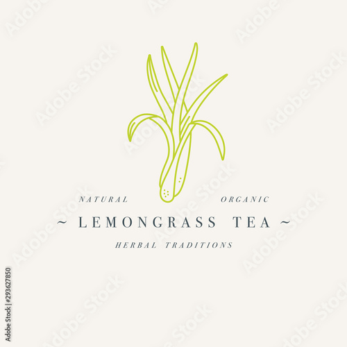 Vector design colorful templat logo or emblem - organic herb lemongrass tea. Logos in trendy linear style isolated on white background.