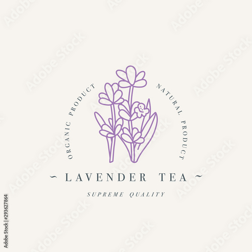 Vector design colorful templat logo or emblem - organic herb lavender tea. Logos in trendy linear style isolated on white background.
