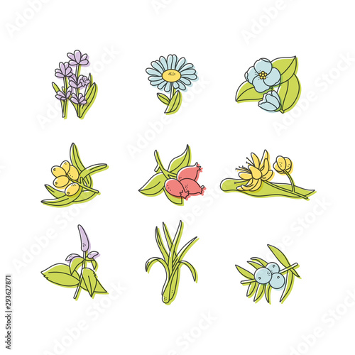 Vector set design colorful templates logo and emblems - organic herbs and teas. Different teas icon. Logos in trendy linear style isolated on white background.