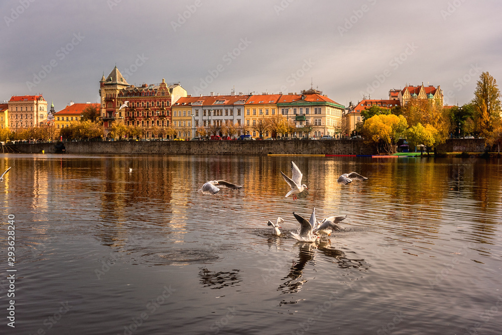 Fototapeta premium Prague Old Town on the banks of Vltava river, sunset cityscape with birds and reflection in the water, Czech Republic, travel background