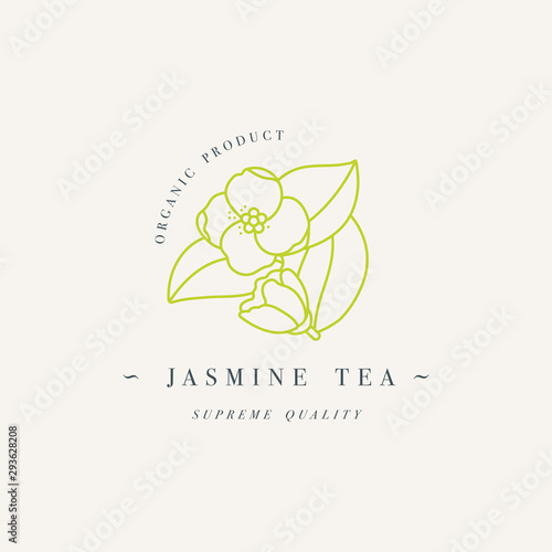 Packaging design template logo and emblem - jasmine tea. Logo in trendy linear style isolated on white background.