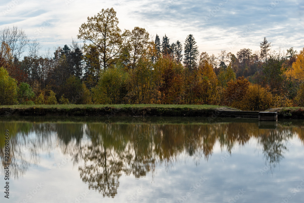 beautiful woodland in autumn time in Germany beautiful woodland in autumn time in Germany