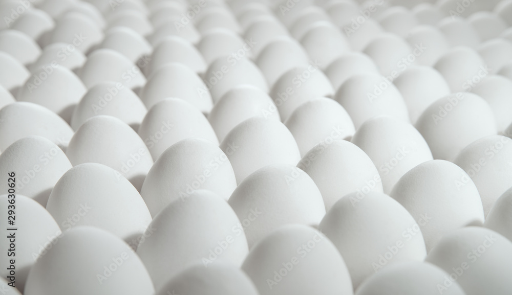many white eggs