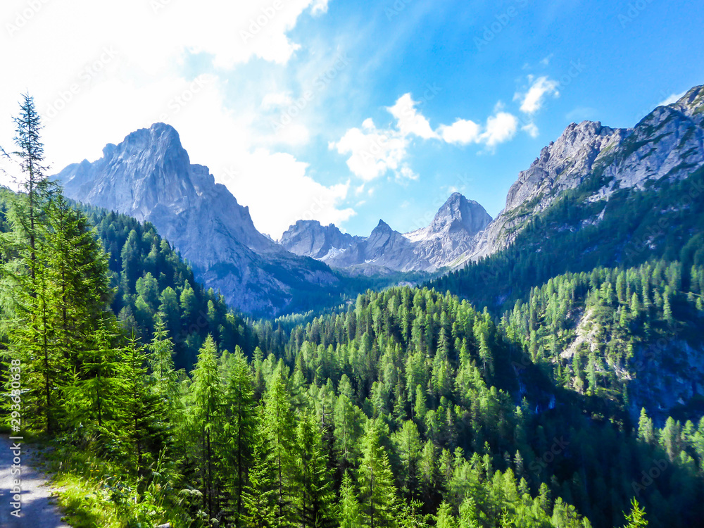 A lush green forest in an Alpine valley. There is a thick forest in front and a very tall chains of mountains. There is a small gravelled road on the side. Clear and bright day. Beauty in the nature