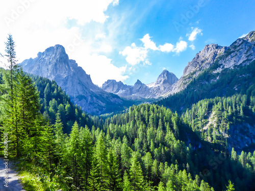 A lush green forest in an Alpine valley. There is a thick forest in front and a very tall chains of mountains. There is a small gravelled road on the side. Clear and bright day. Beauty in the nature