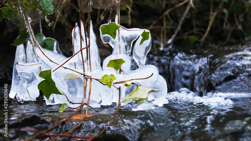 Obraz na plátne Lierre glacé torrent