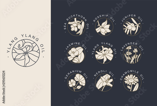Vector set design templates and emblems - healthy and cosmetics oils. Different natural, organic oils. Logos in trendy linear style.