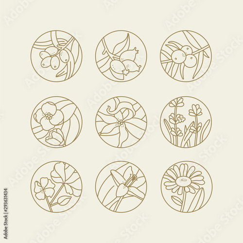 Vector set design templates and emblems - healthy and cosmetics oils. Different natural, organic oils. Logos in trendy linear style.