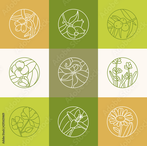 Vector set design templates and emblems - healthy and cosmetics oils. Different natural, organic oils. Logos in trendy linear style.