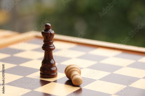 wooden pieces, chess queen and pawn, white and dark brown on the chessboard, concept of the game, subordination, loss, dominance photo