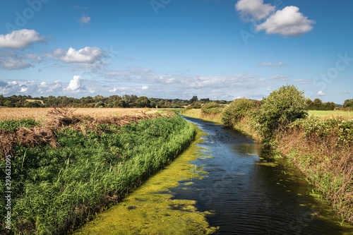 The Reading Sewer or Ditch  near Peening Quarter  running across southern Kent in England on a summers day.