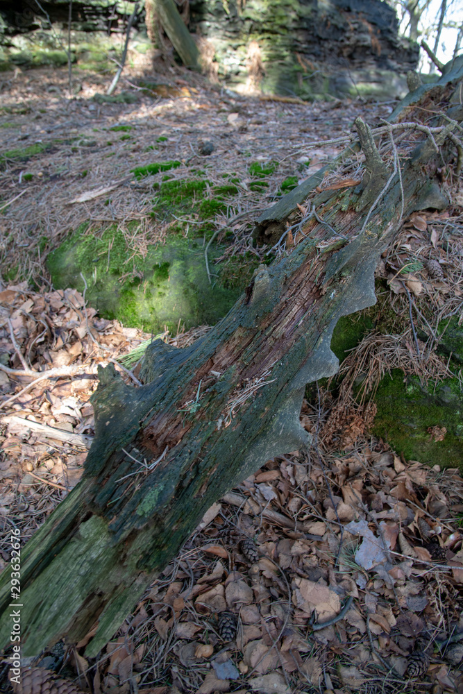 Bielatal in der Sächsischen Schweiz Bielatal in der Sächsischen Schweiz