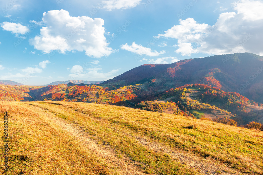 beautiful mountain landscape in autumn. wonderful sunny afternoon weather with fluffy clouds on the sky. forested hills rolling in to the distant mountain ridge. path along the grassy meadow