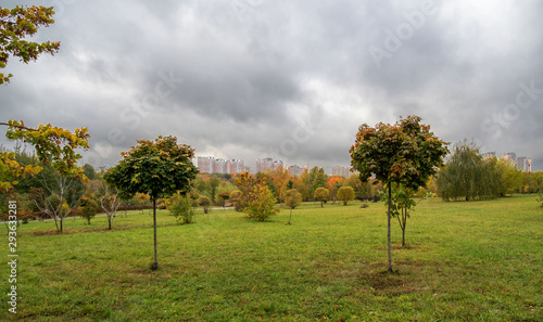 Autumn, city Park, trees.