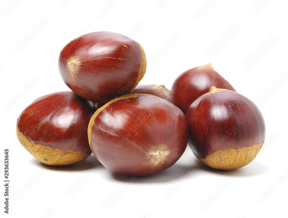 Sweet chestnut on white background Sweet chestnut on white background