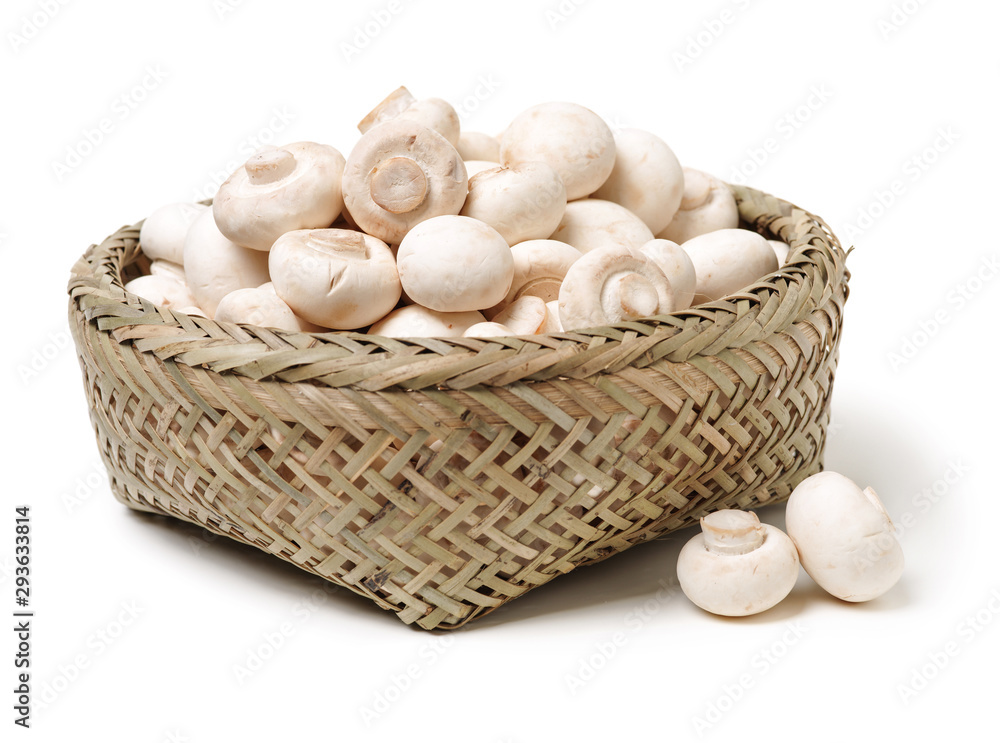 White mushrooms on white background