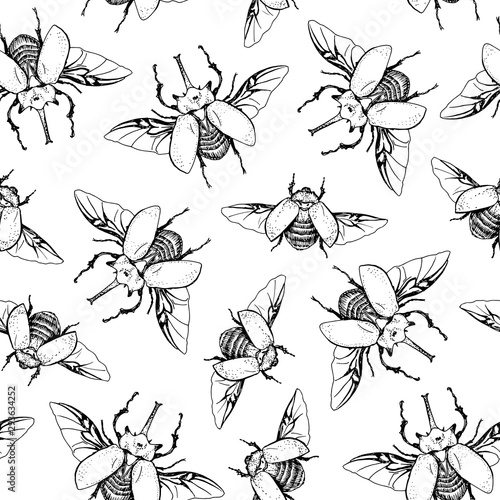Seamless pattern with beetles Megasoma elephas. Hand drawn sketch on white background photo