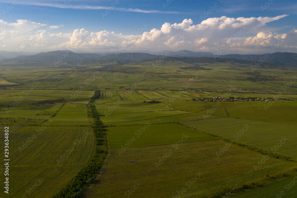 Naklejka premium Fields of blooming delphiniums, poppys and bluets. Fields and hills are covered with a carpet of wild flowers. Summer 2019, Eastern Georgia, near the town of Gori. Sunset