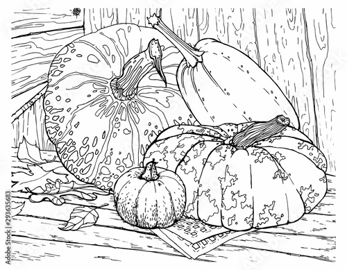 Antistress coloring book for children and adults. Pumpkins, autumn harvest.