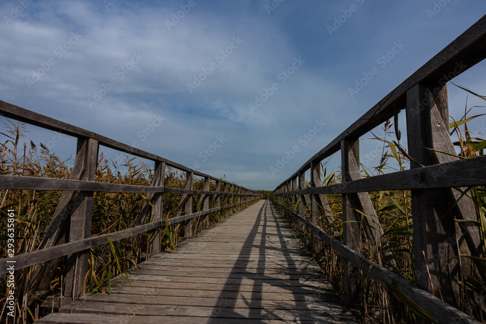 Steg im Federsee