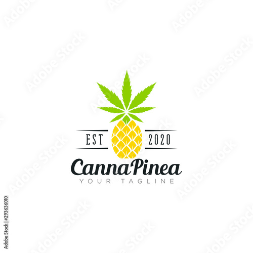 creative logo cannapinea, retro cannabis and pineapple vector for delivery service