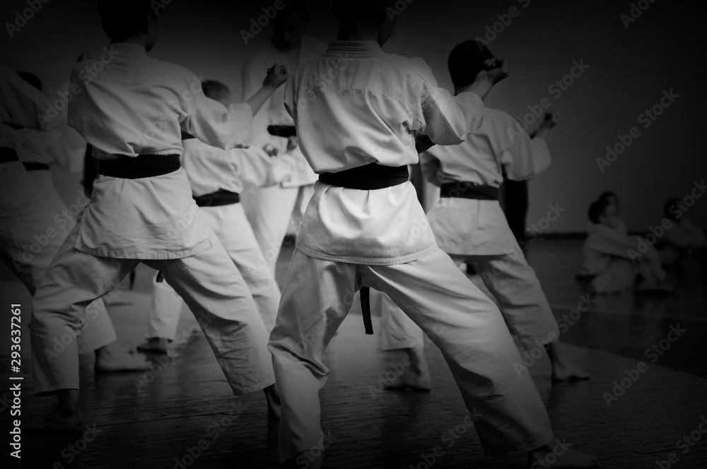 Fototapeta Kids training on karate-do. Banner with space for text. For web pages or advertising printing. Black and white photo without faces.