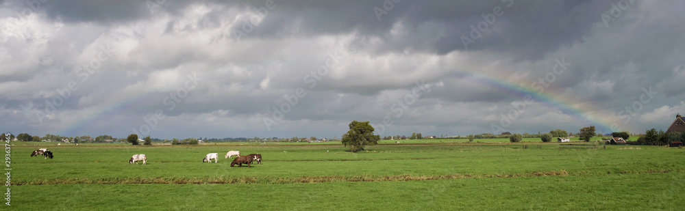 Landscape panorama of a rainbow over the green countryside of Holland Landscape panorama of a rainbow over the green countryside of Holland