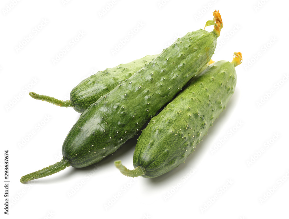 Green cucumber on the white background Green cucumber on the white background