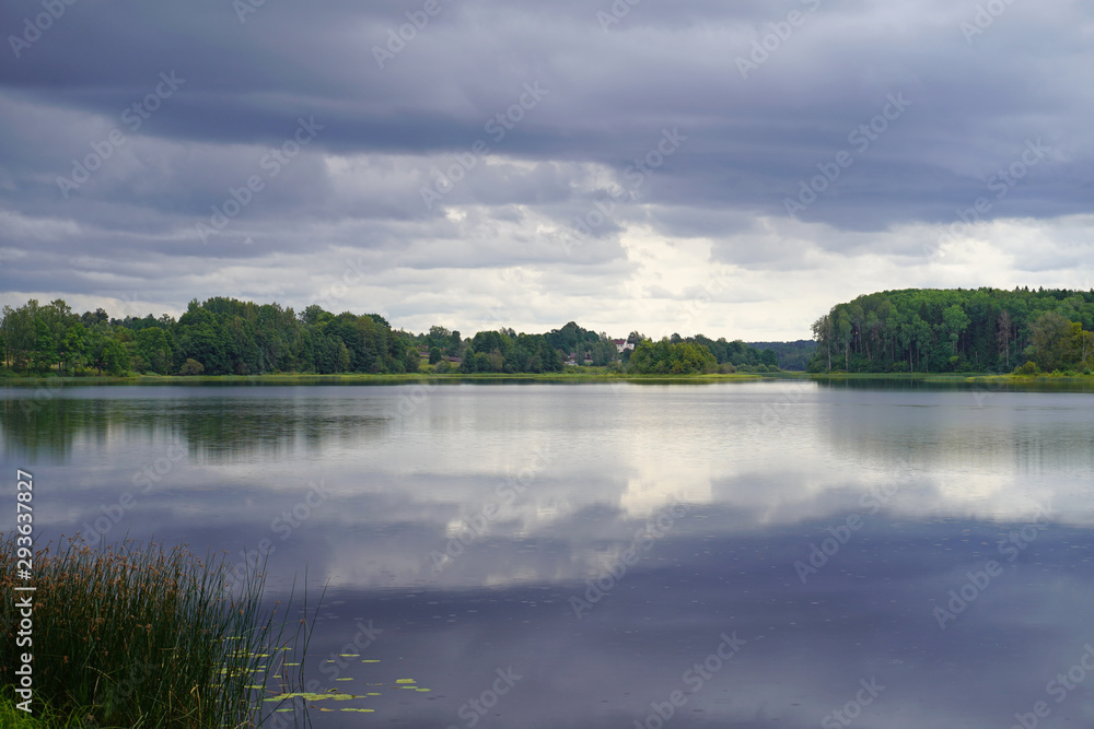 Lake in the forest. Colorful summer landscape with lake and forest view.
