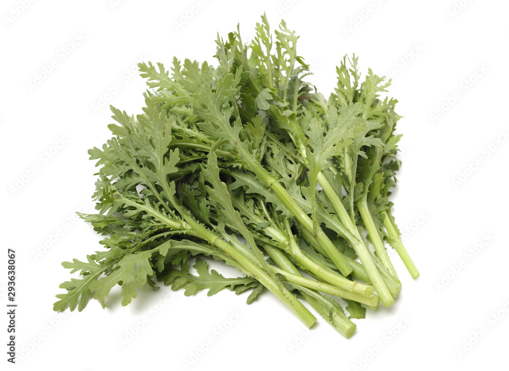 Shungiku, also known as tong hao, or edible chrysanthemum, Isolated on white. A leaf herb commonly used in asian food Shungiku, also known as tong hao, or edible chrysanthemum, Isolated on white. A leaf herb commonly used in asian food