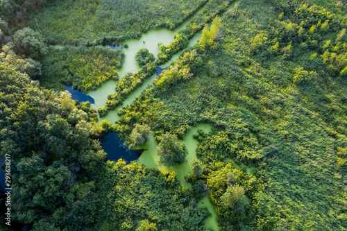 swamp in the forest view from drone. Swampy landscape. View of an impassable swamp from height. Aerial photography Wild forest landscape © vladimircaribb