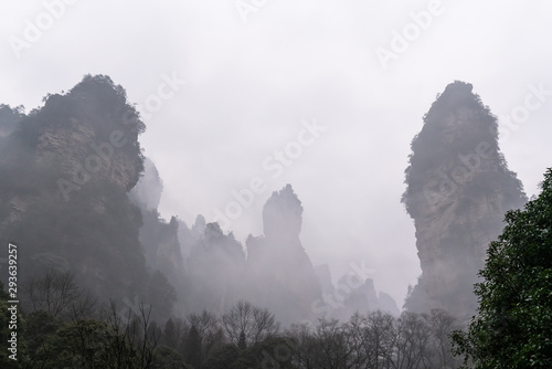 Fototapeta Naklejka Na Ścianę i Meble -  Zhangjiajie National Forest Park, China