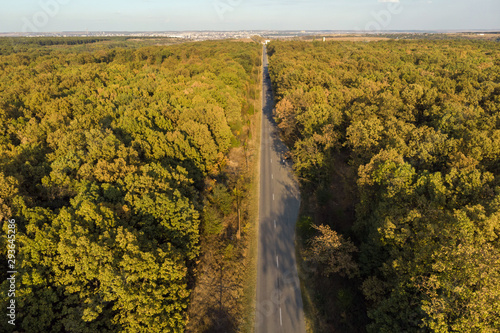 Aerial autumn view of road cutting through the forest