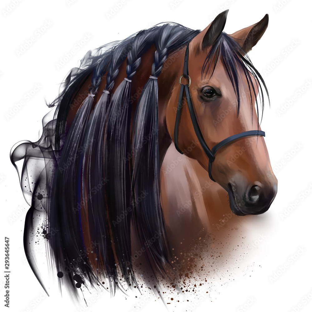 Obraz Głowa konia. Rysunek akwarelowy