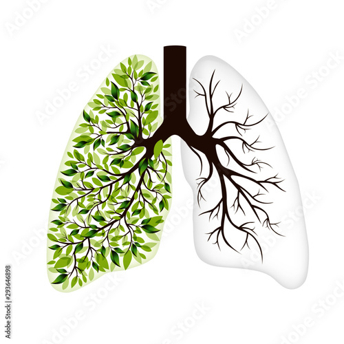 Human lungs Respiratory system. Healthy lungs. Light in the form of a tree. Line art. Drawing by hand. Medicine. - Vector graphics
