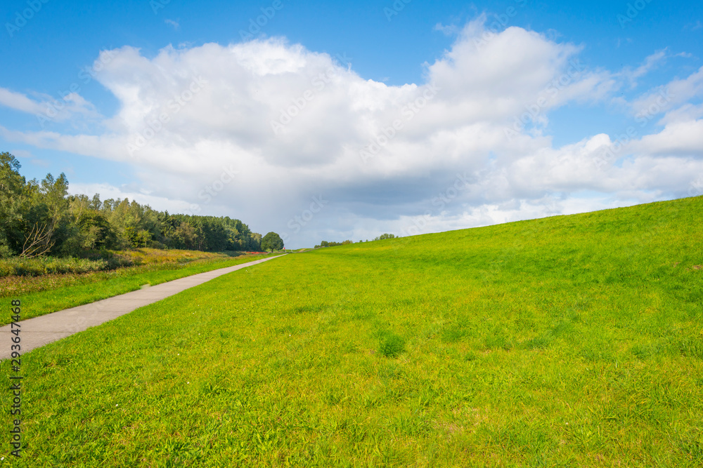 Green dike in a rural area below a blue cloudy sky in sunlight at fall Green dike in a rural area below a blue cloudy sky in sunlight at fall