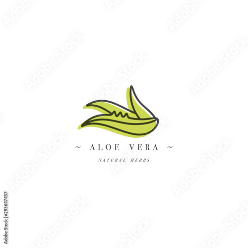 Vector design template logo and emblem healthy herb- aloe vera. Logo in trendy linear style isolated on white background.