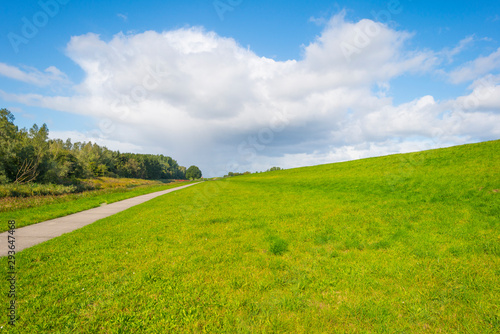 Green dike in a rural area below a blue cloudy sky in sunlight at fall 