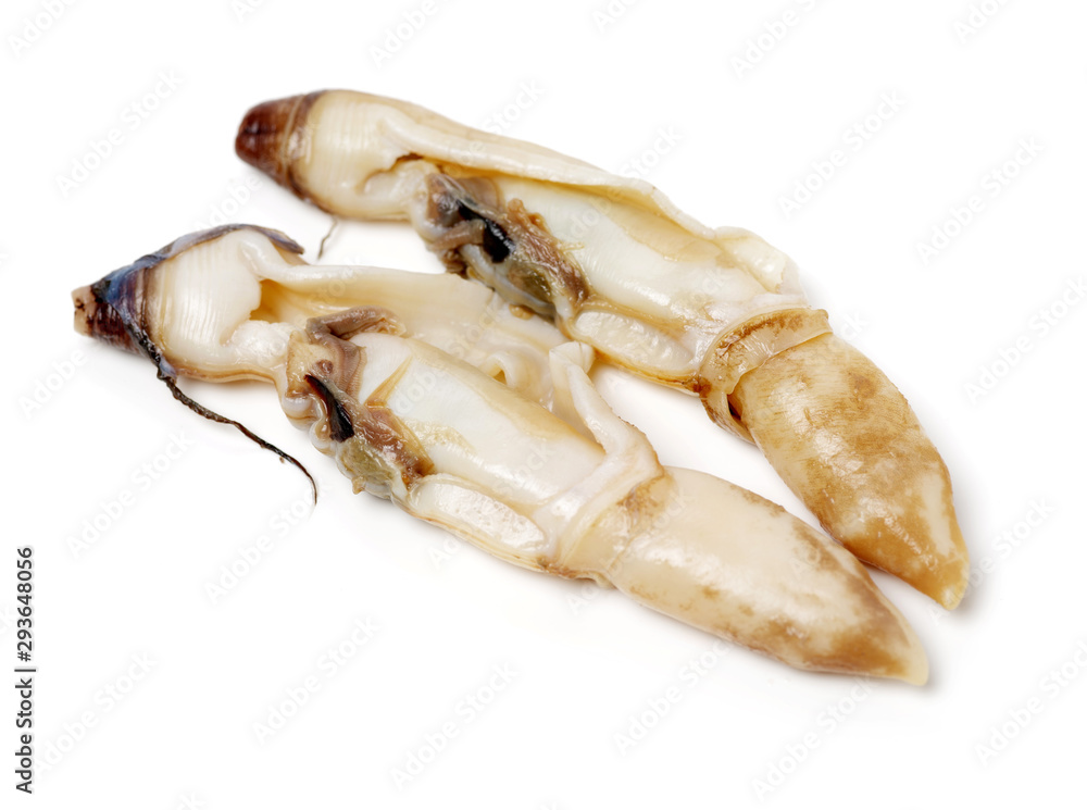 Razor clams isolated on white background. Razor clams isolated on white background.