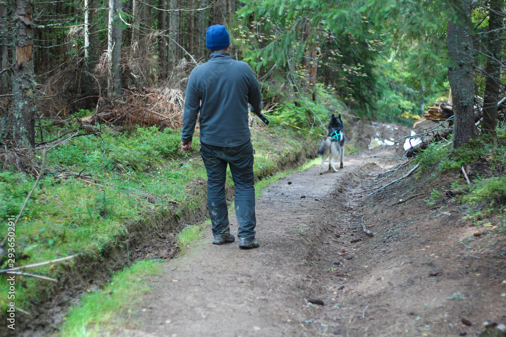 .A man with a Husky dog in the Carpathian Mountains. .A man with a Husky dog in the Carpathian Mountains.